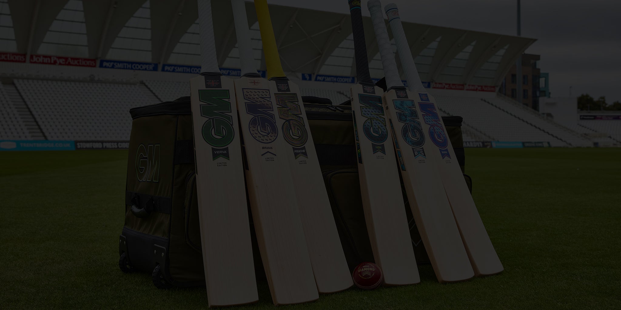 NEW 2025 CRICKET BATS