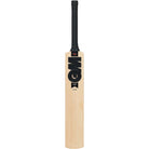 A single cricket bat shown vertically against a plain white background. The bat has a light natural wood blade with a large black 'GM' logo on the front, a black handle wrap, and a black grip.